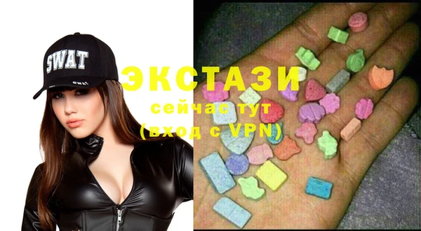 стаф Алзамай