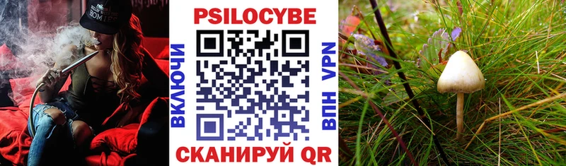 Галлюциногенные грибы Psilocybine cubensis  где можно купить наркотик  Дятьково 