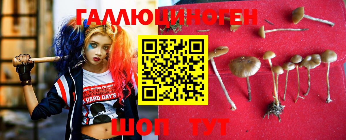 Дятьково  Галлюциногенные грибы прущие грибы  Вход с VPN 