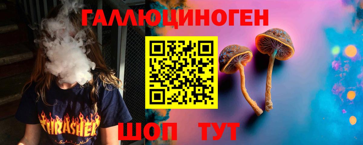 Псилоцибиновые грибы Psilocybine cubensis Дятьково